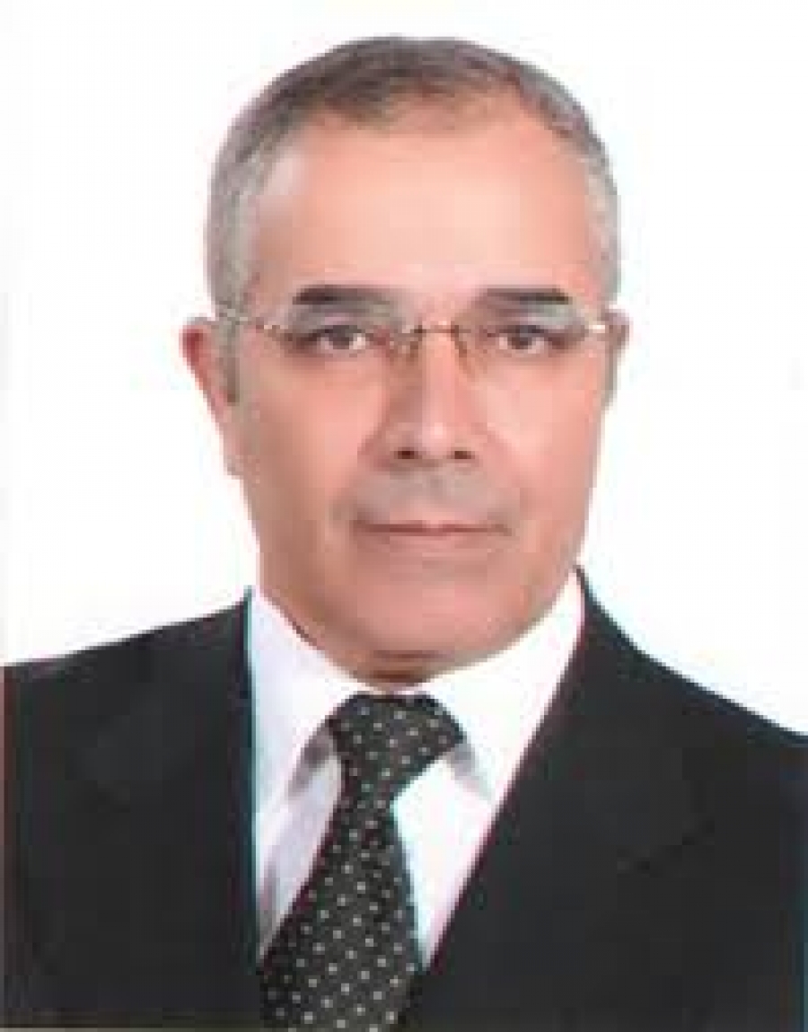Gamal Ismail Khaleel